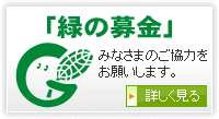 緑の募金　みなさまのご協力をお願いします。